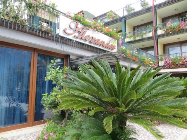 Zahrada ubytování Hotel Alexander