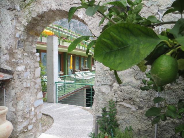 Zahrada ubytování Hotel Alexander