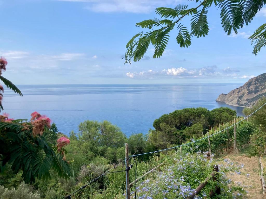 a view of the ocean from a hill at Villa Pietrafiore in Monterosso al Mare