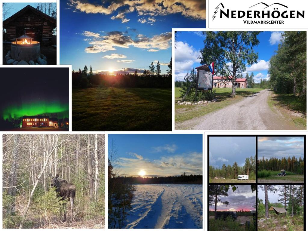 a collage of photos of the northern lights at Nederhögen Vildmarkscenter in Rätan