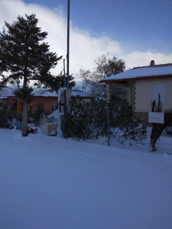 Marry's Guesthouse v zimě