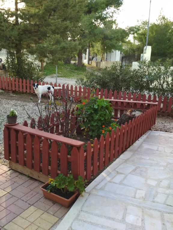 Zahrada ubytování Marry's Guesthouse