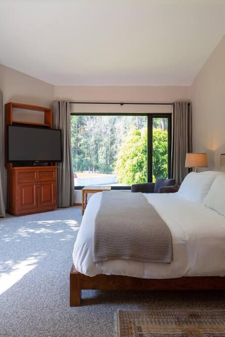 Casa Ficus, serviced Luxury Villa with pool&tennis - Casa De Cinco Dormitorios
