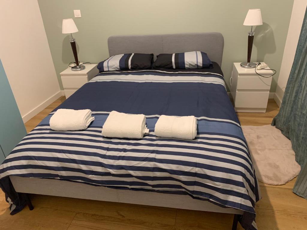 a blue and white bed with two pillows on it at Appartement T2 Paray vieille poste Climatisé in Paray-Vieille-Poste