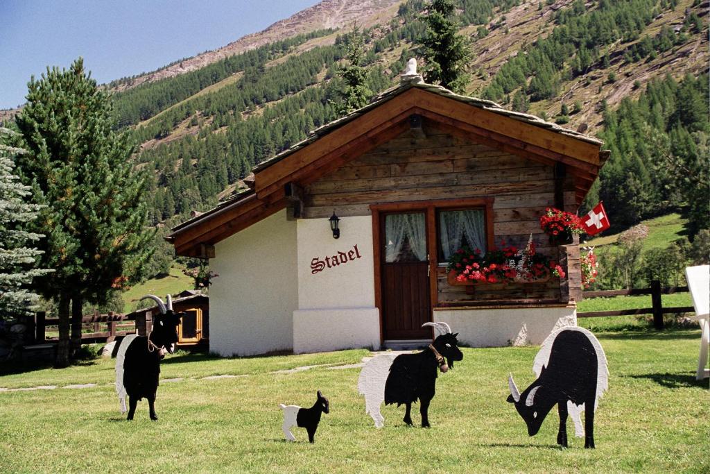 ザース・グルントにあるChalet Stadelの建物前の草の上に立つ動物群