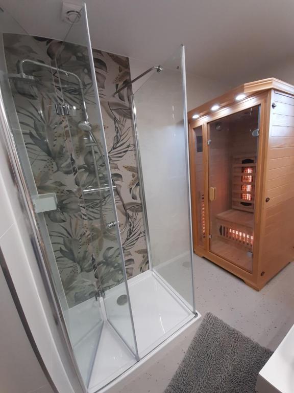 Koupelna v ubytování Willa Rosa-apartamenty z prywatną sauną