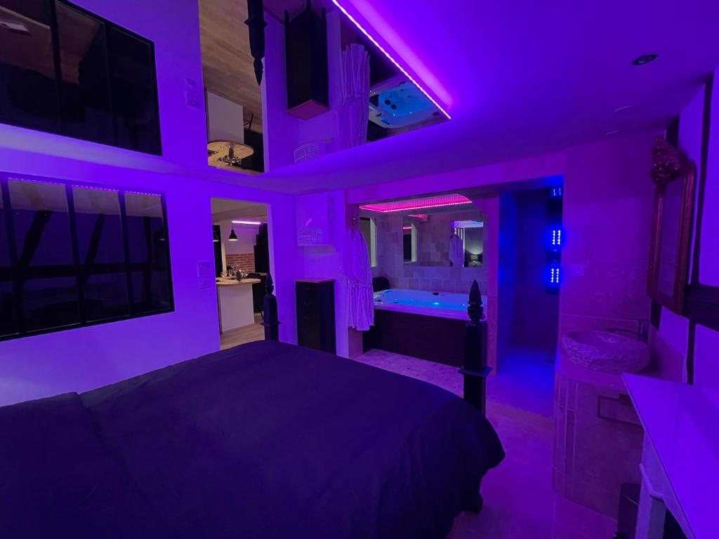 a purple bedroom with a bed and a tub at Le Jacuzzi in Rouen