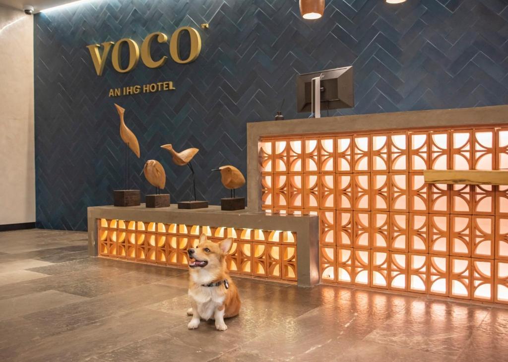 Certifikát, hodnocení, plakát nebo jiný dokument vystavený v ubytování voco Guadalajara Neruda by IHG