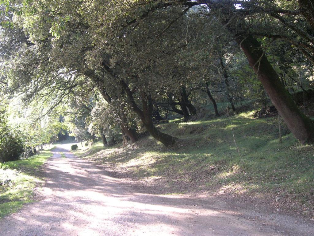 Mas Molera Turisme Rural - Apartamento MAS Molera-Bassegoda