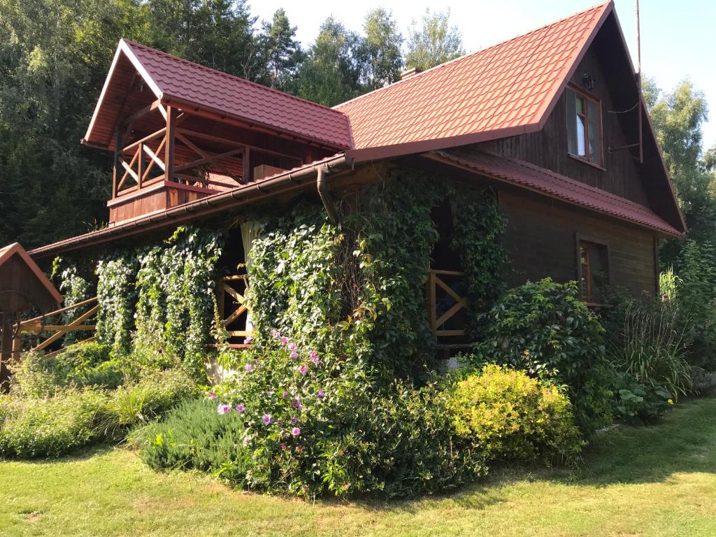 a house with ivy growing on the side of it at Leśniczówka domek sauna jeziorko w lesie na wyłączność in Straszydle