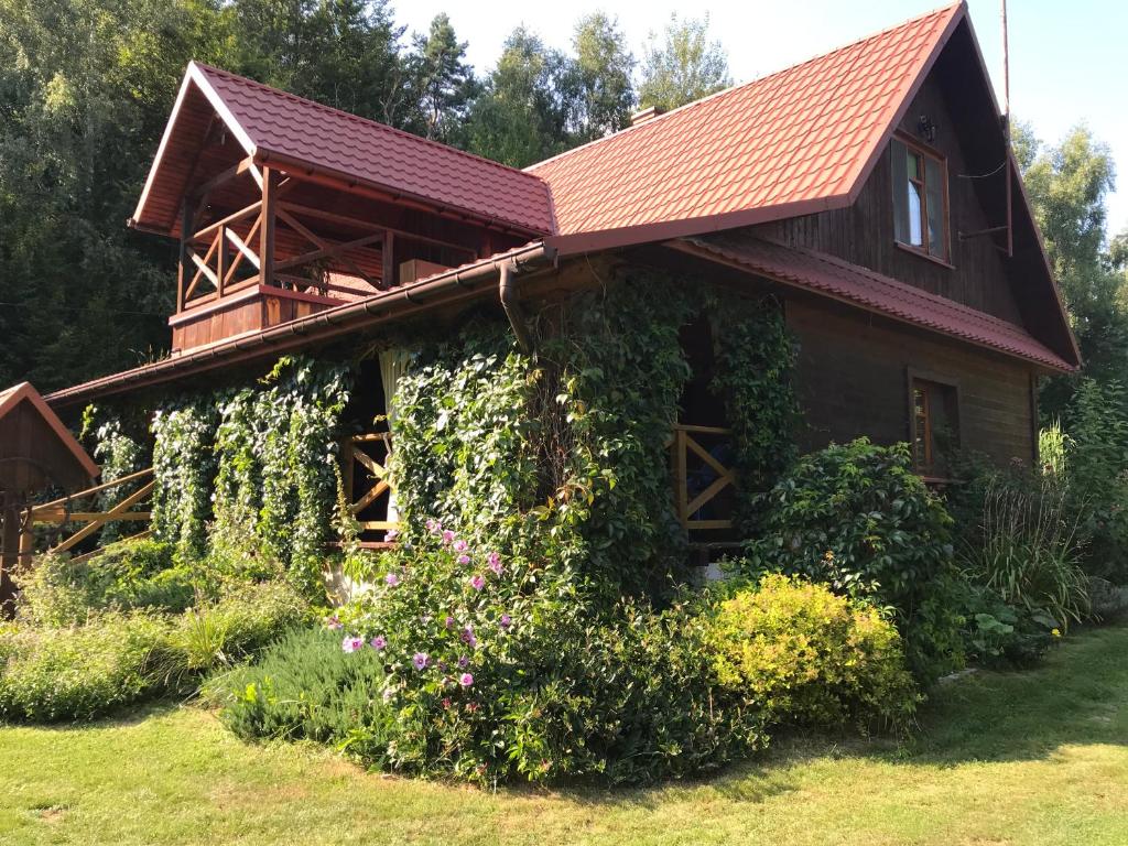 Vonkajšia záhrada v ubytovaní Leśniczówka domek sauna jeziorko w lesie na wyłączność