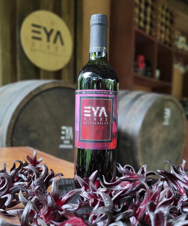 Nápoje v ubytování EYA Ecolodge