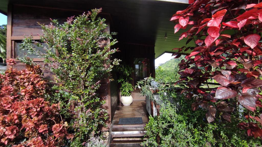 Zahrada ubytování EYA Ecolodge