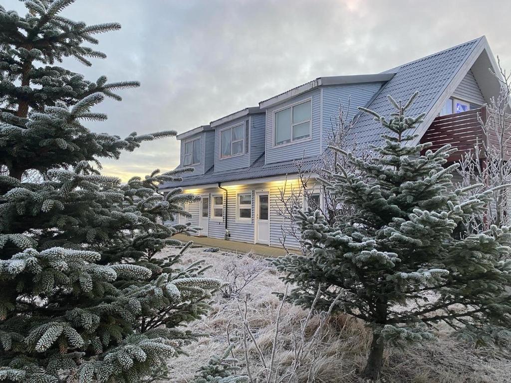 een huis met twee kerstbomen ervoor bij Motel Arctic Wind in Vogar