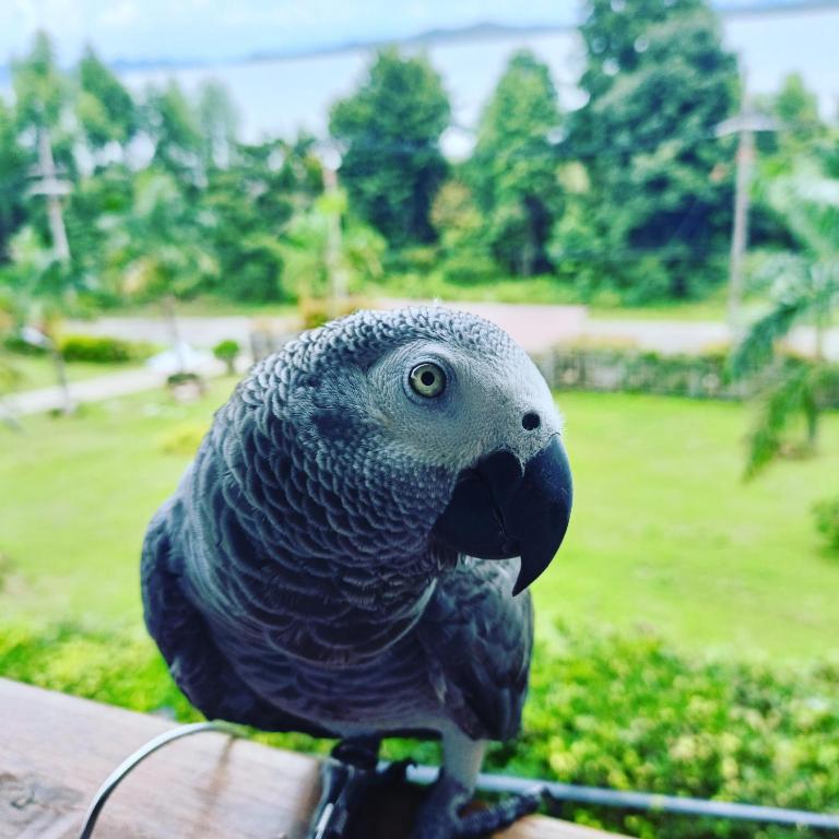 Resting Place Ko Yao Yai - 11