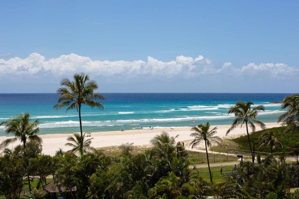 a view of a beach with palm trees and the ocean at Ocean Breeze at Palm Beach in Gold Coast