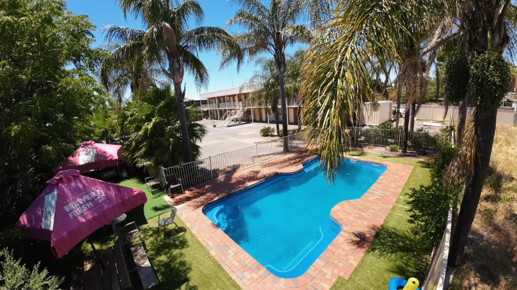 an overhead view of a swimming pool with palm trees at Moama Motel in Moama