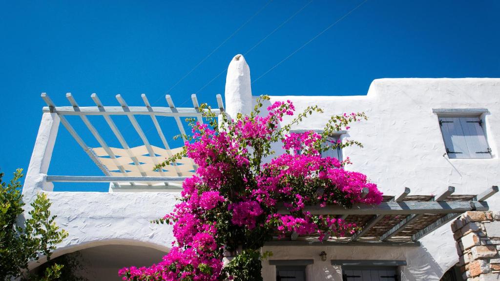 a white building with pink flowers in front of it at Spiti Georgia in Drios village in Kampos Paros