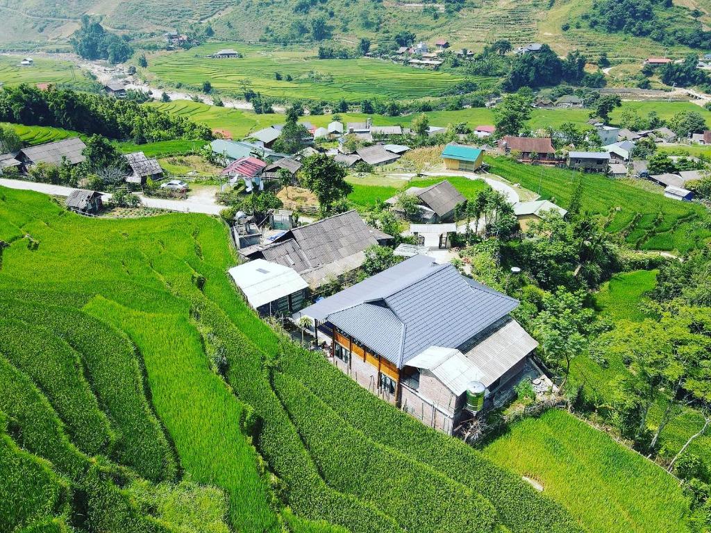 an aerial view of a farm on a hill at Fan Lap Homestay in Sapa