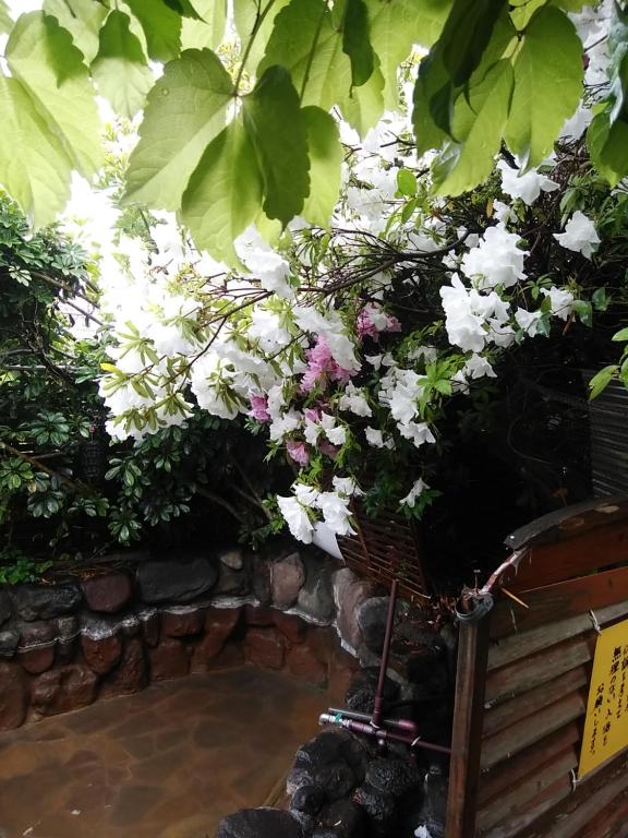 Giardino di YOKOSO Ryokan