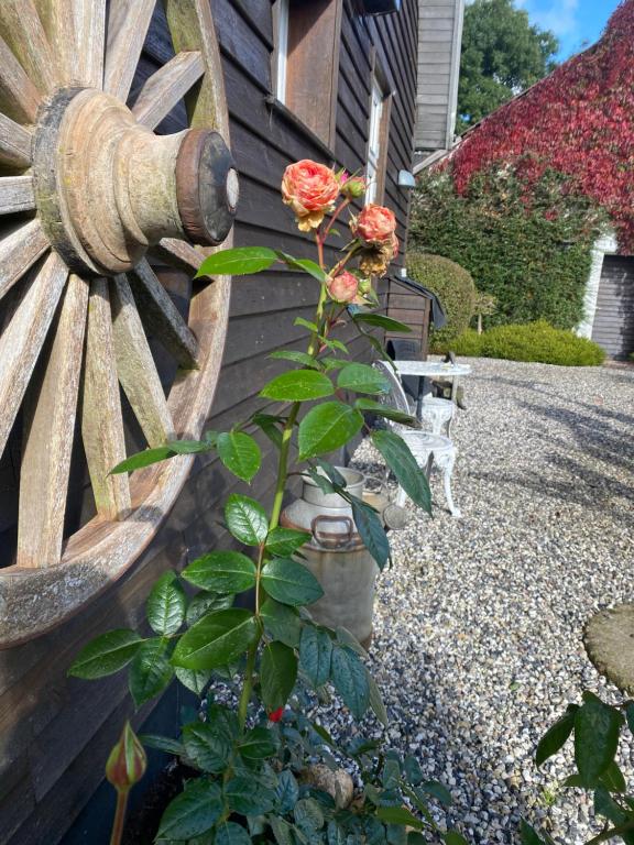 Zahrada ubytování Guldforhoved B&B