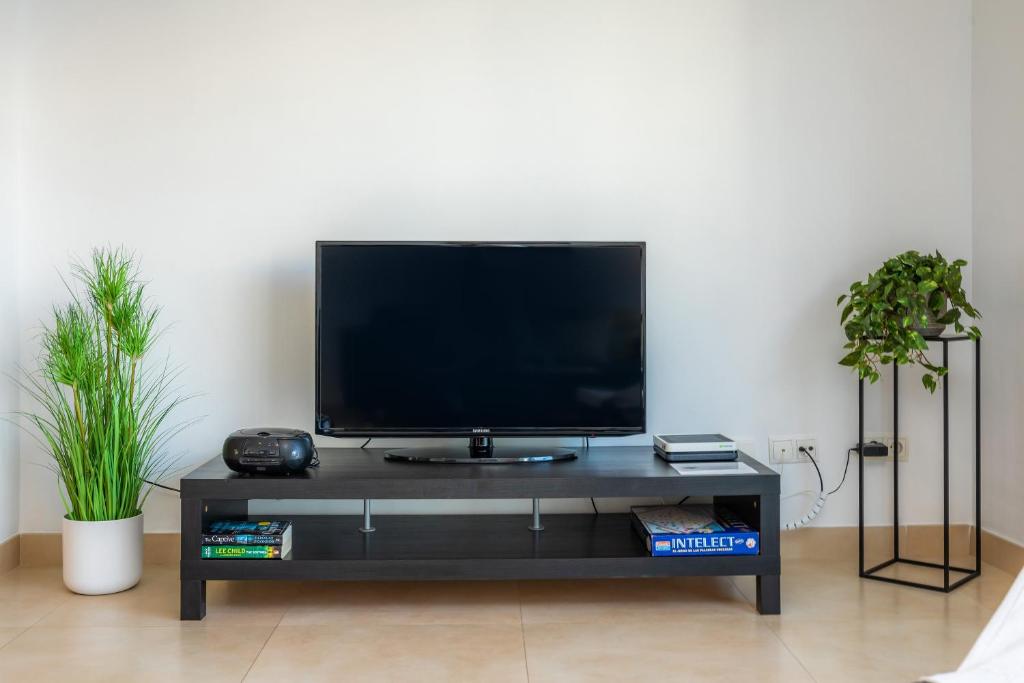 TV a/nebo společenská místnost v ubytování Piso Claudia