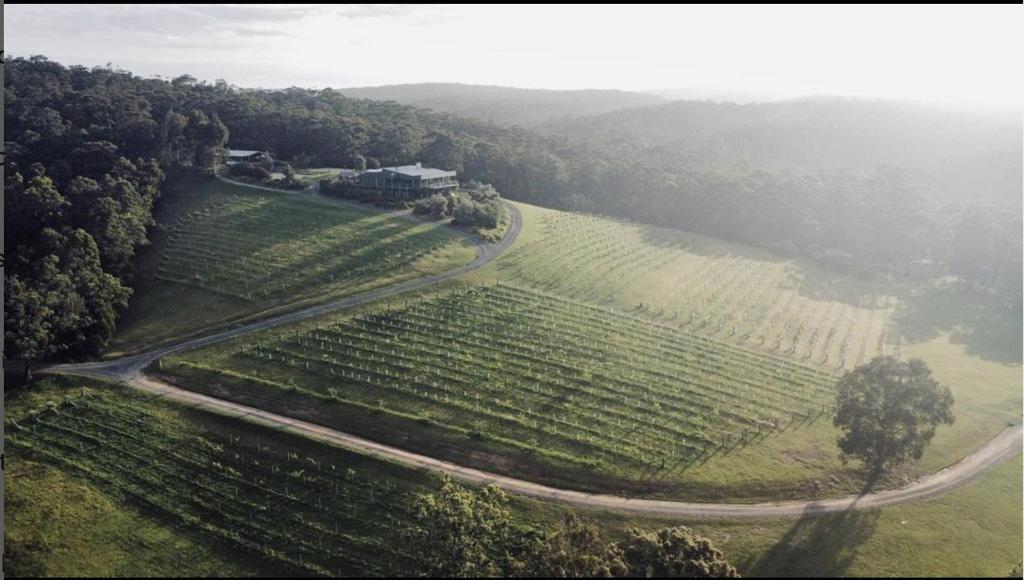 an aerial view of a farm field with a road at Mimosa Wines in Murrah