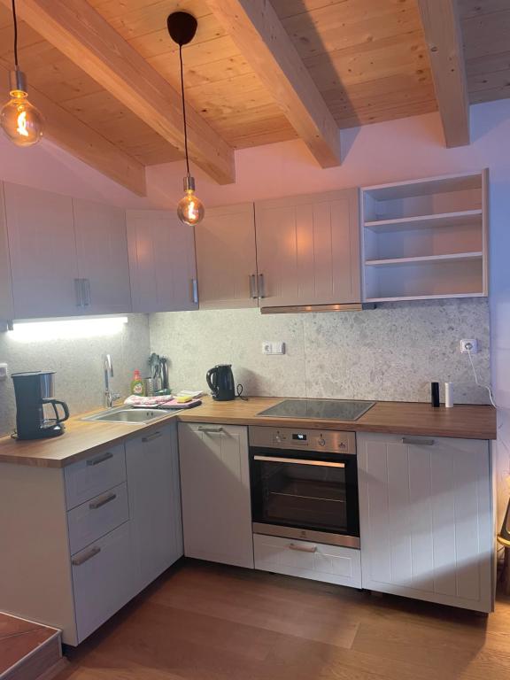 Kuchyň nebo kuchyňský kout v ubytování Tuxie Haus