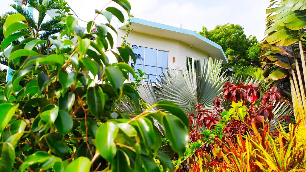een gebouw met veel planten ervoor bij Modara Ocean Villa in Tangalle
