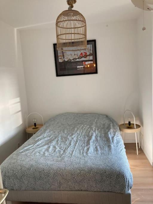 a bedroom with a bed and a bird cage on the wall at Appartement 1 chambre proximité Port de commerce et Gare SNCF in Brest