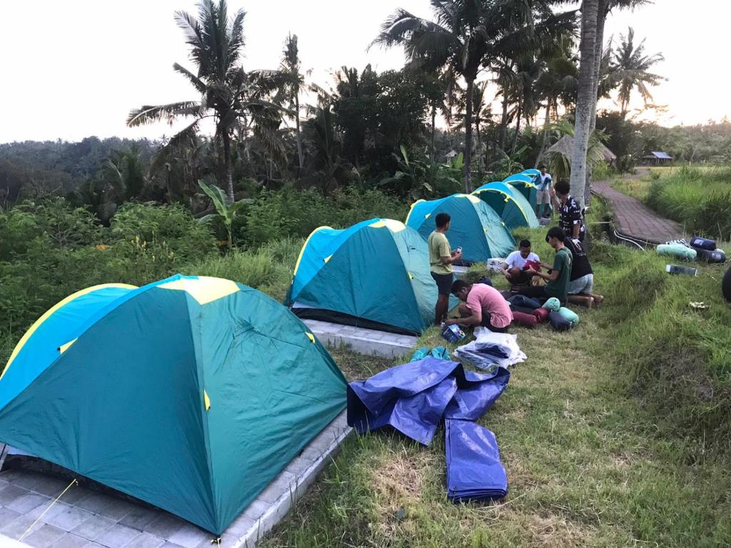 Banjarangkan的住宿－Balicamper，一群帐篷坐在草地上