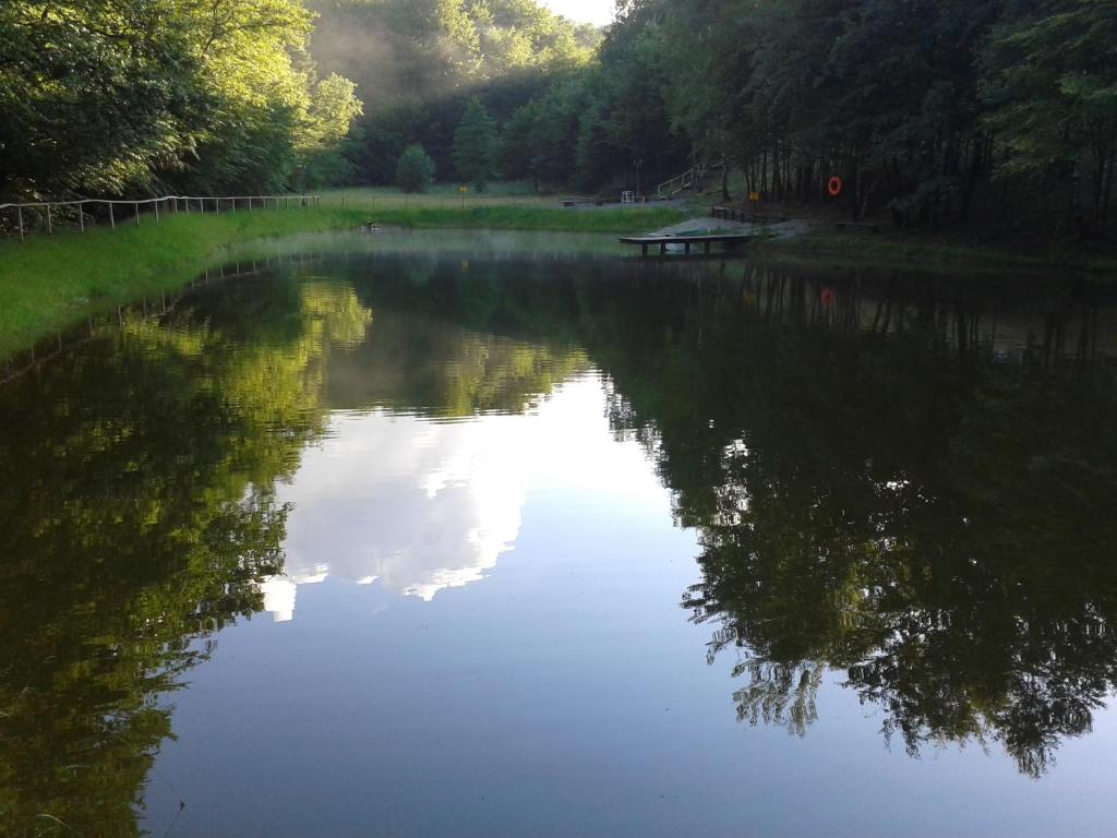 Príroda v okolí horskej chaty