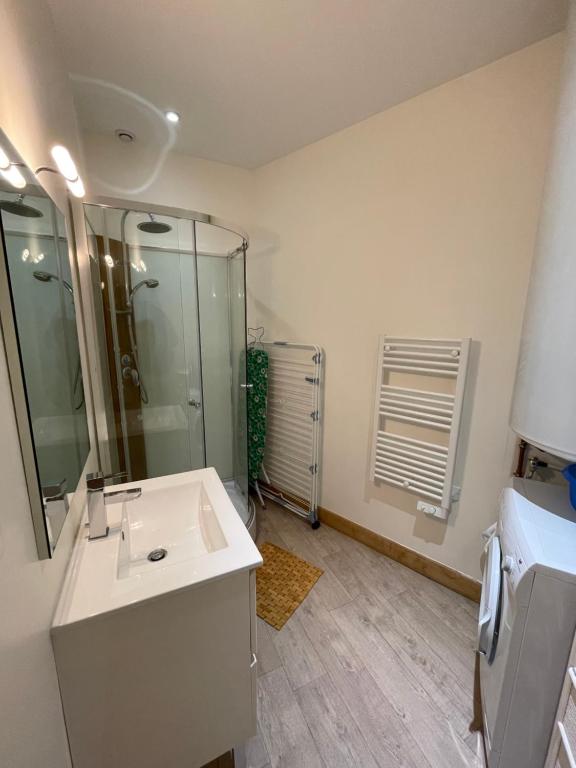 Kúpeľňa v ubytovaní LE LOFT et le T2, Le Mont Dore, au pied de La Dordogne