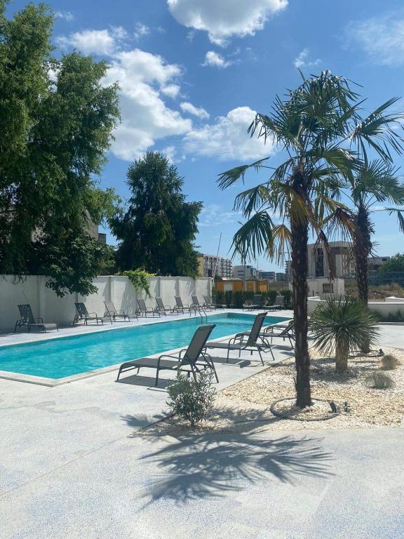 a swimming pool with chairs and a palm tree at Apartament 2 dormitoare și living bloc nou in Năvodari