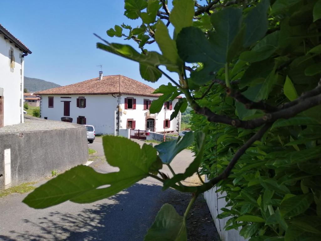 a tree with green leaves in front of a house at Gîte Le Relais de la Source in Caro