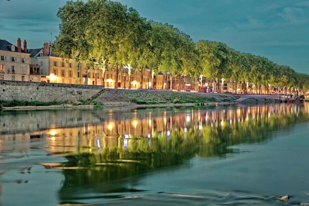 widok na rzekę z budynkami i drzewami w obiekcie Hyper Centre Orléans : Magnifique appartement w Orleanie