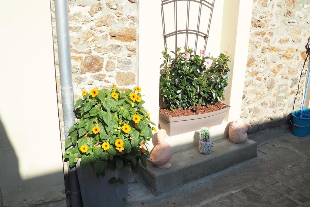 Vonkajšia záhrada v ubytovaní Appartement duplex et terrasse à St Servan-St Malo