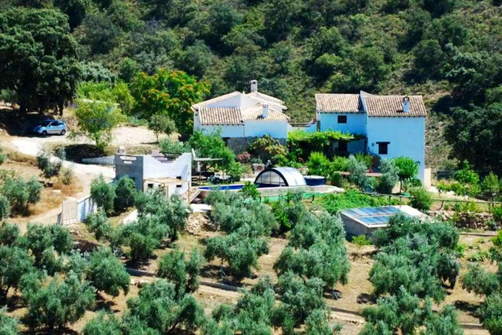 Príroda v okolí vily