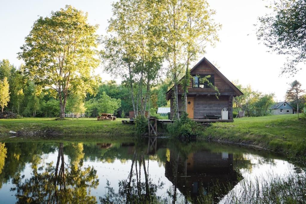 a log cabin next to a river with trees at Paluküla Saunas and Glamping in Paluküla