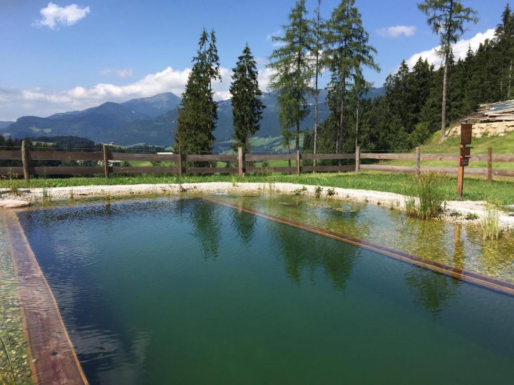 a pool of water in a field with trees at Sonnleit'n Zimmer 7 in Abtenau
