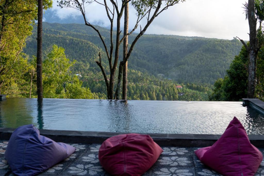 due cuscini viola seduti per terra vicino a un corpo d'acqua di Puri Sunny Guesthouse a Munduk