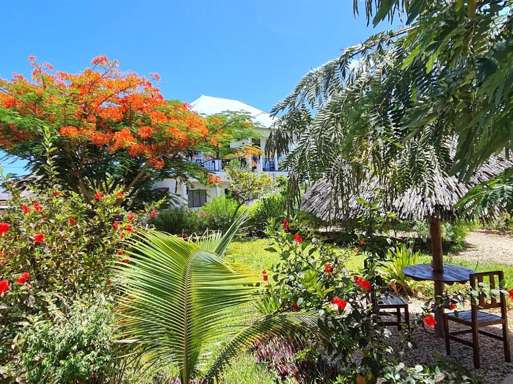 Jardí fora de Frangipani House Nungwi Zanzibar