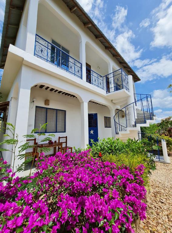 Frangipani House Nungwi Zanzibar - 两居室公寓