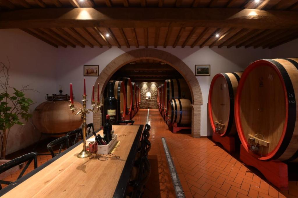 Wine Estate Rooms Paradiso di Cacuci - 10