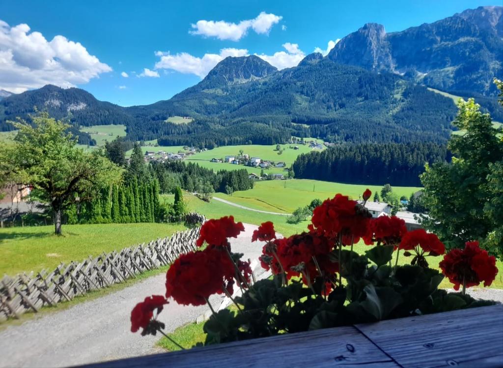 a view of a valley with red flowers and mountains at Sonnleit'n Zimmer in Abtenau