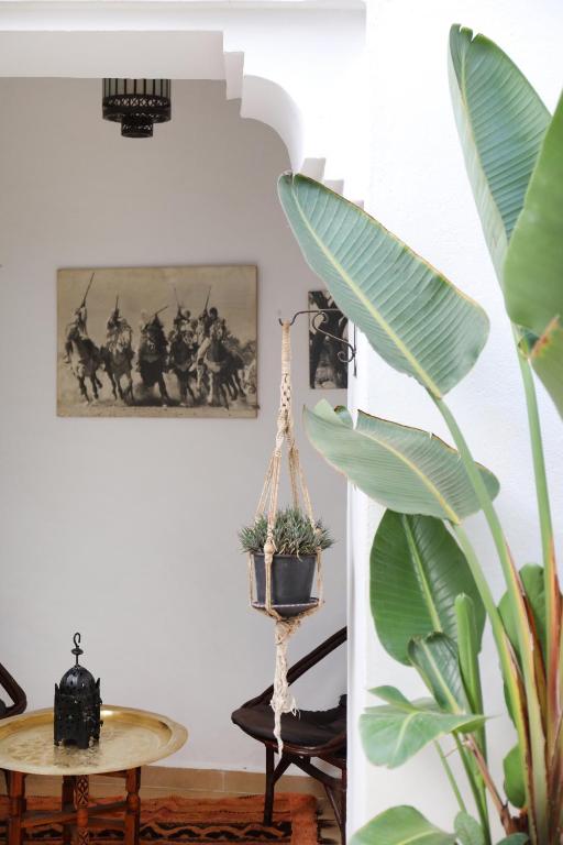 Fotografie z fotogalerie ubytování Riad Noor Charana v Marrákéši