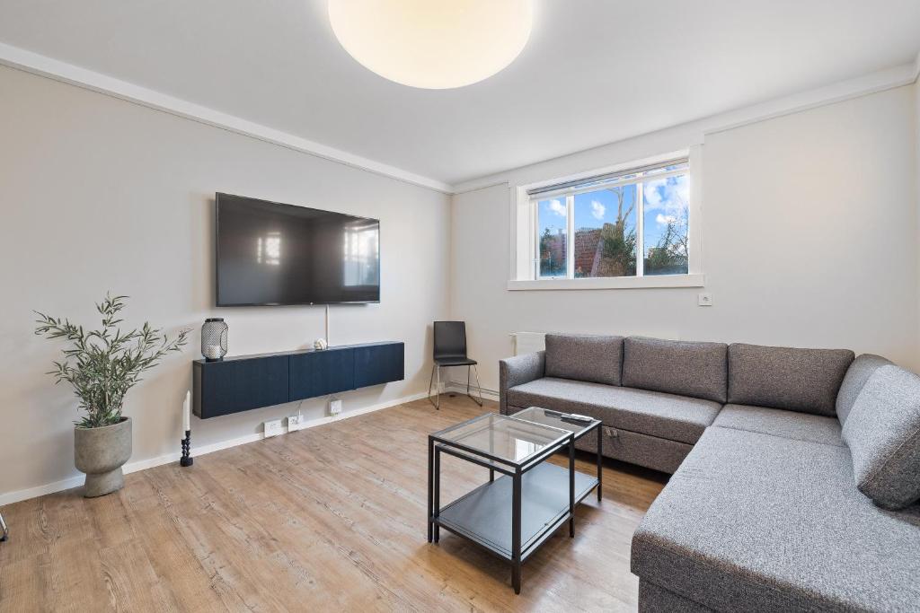 een woonkamer met een bank en een tv bij Odinn Reykjavik Eiriksgata Apartments in Reykjavík