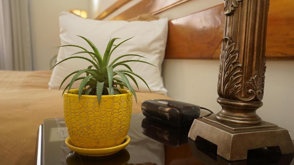 Fotografie z fotogalerie ubytování Hotel Casa del Arbol v destinaci San Pedro Sula