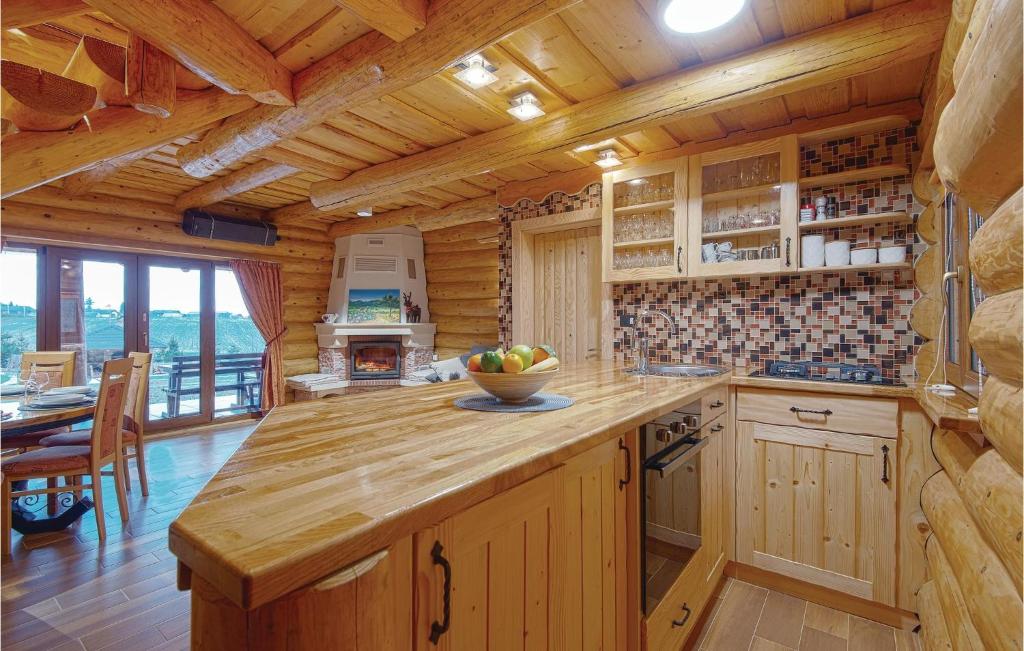 Kuchyňa alebo kuchynka v ubytovaní Beautiful Home In Kelemen With Sauna