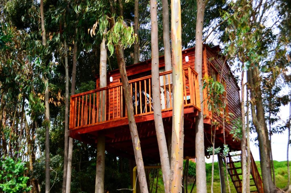 Zahrada ubytování Casa en el Árbol Guatavita